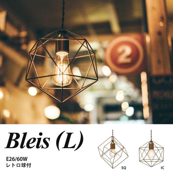 1 VƖ y_gCg IV  Ɩ k JtF _ Bleis L uCXL dt LT-1092C^[tH rO _CjO Q 