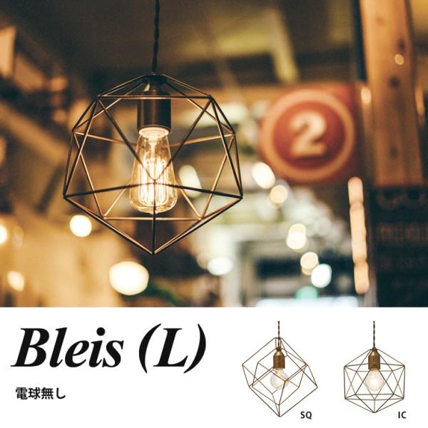 1 VƖ y_gCg IV  Ɩ k JtF _ Bleis L uCXL LT-1093 C^[tH rO _CjO Q 