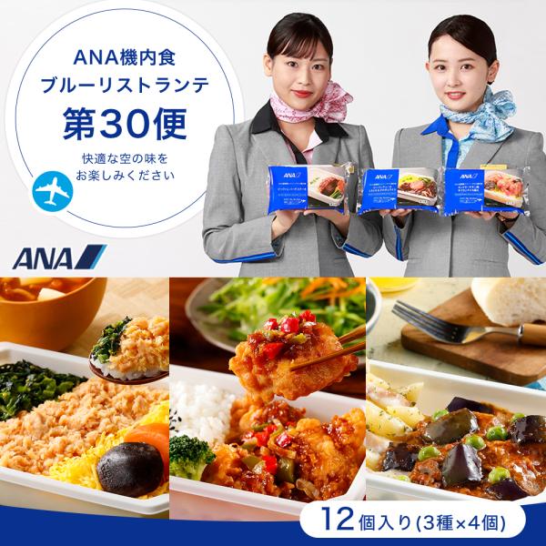 【ANA's Sky Kitchen 】おうちで旅気分！！ANA国際線エコノミークラス機内食 メインディッシュブルーリストランテ 第30便 12個入り【牛肉と茄子の煮込み クリームペンネ添え】炒めた牛肉と茄子を、トマトベースのソースでじっく...