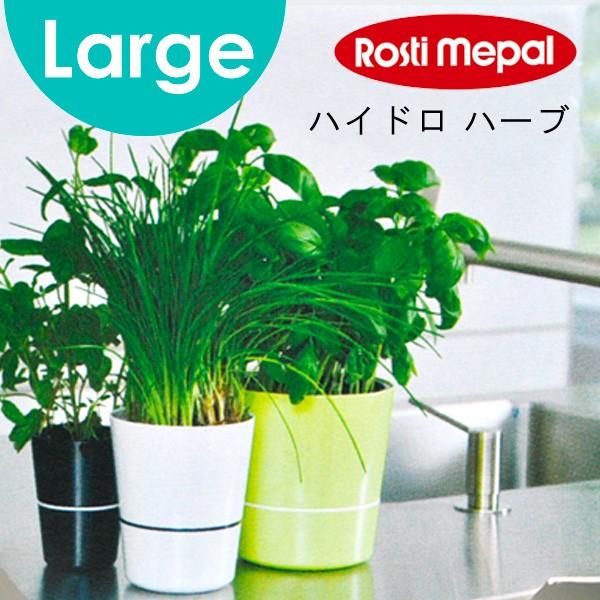 ロスティ Rosti ハイドロハーブ ラージ 植木鉢 あなろ インテリア雑貨 通販 Yahoo ショッピング