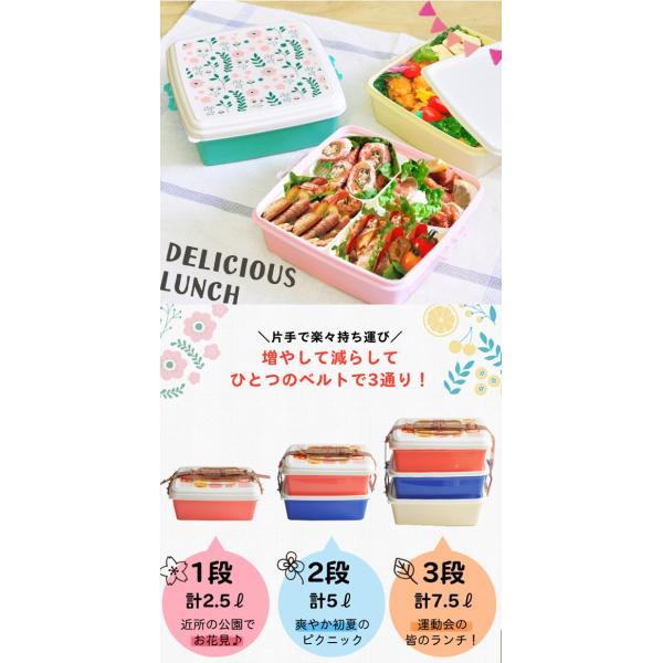 ピクニック ランチボックス 3段 L 運動会 お弁当箱 日本製 お重 重箱 ファミリーランチボックス レジャー 三段 2段 かわいい 送料無料 行楽 運動会 花見人気 Buyee Buyee 提供一站式最全面最專業現地yahoo Japan拍賣代bid代拍代購服務 Bot Online