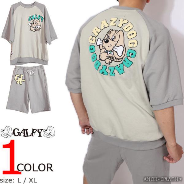 KtB[ GALFY Fa ZbgAbv 122006(J[120)㉺Zbg