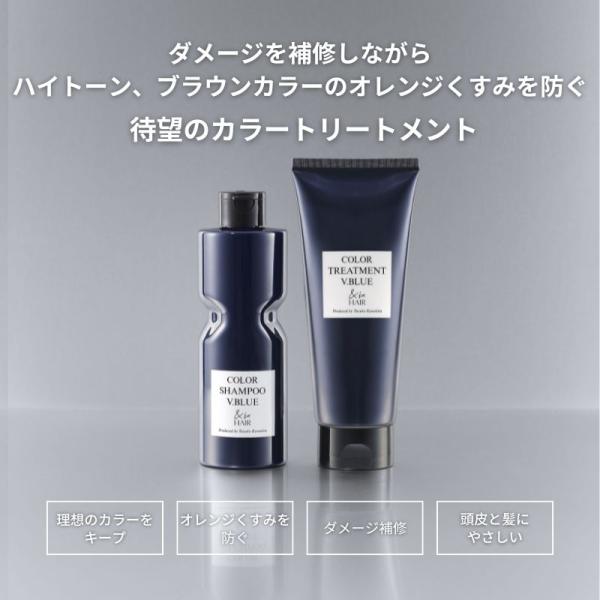 アンドビー 公式 ＆be カラートリートメント V.Blue/ヘアケア くすみを防ぐ 爆買