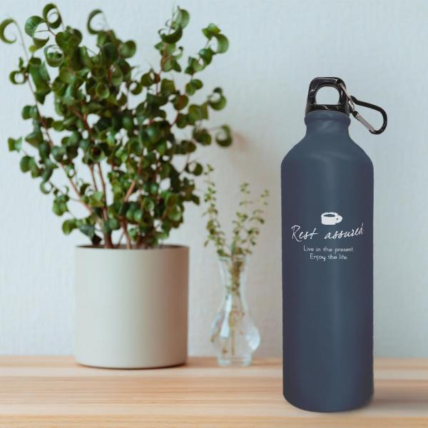 Amazon.co.jp: スターアライアンス アルミボトル 300ml カラビナ