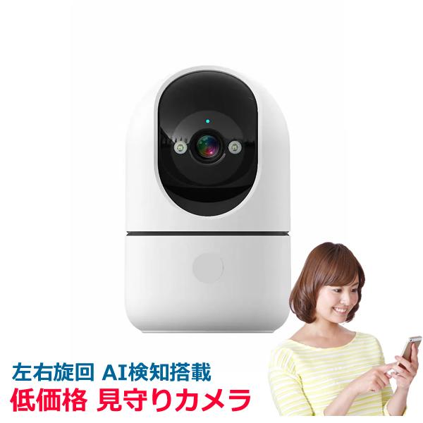av-ipcam01pt【防犯＆見守りカメラ】格安なのに高性能！Wi-Fiカメラ 