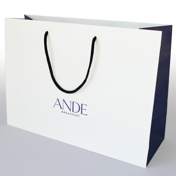 1҃TCY3{pMtg{bNXΉy܁z [#015] Af ANDE fjbVHpp