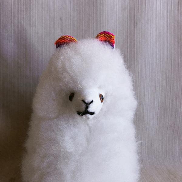 andeszakka_lla-ore19