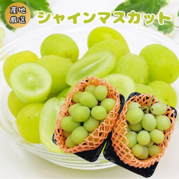 t3t2シャインマスカット2個 andez1946_r00920
