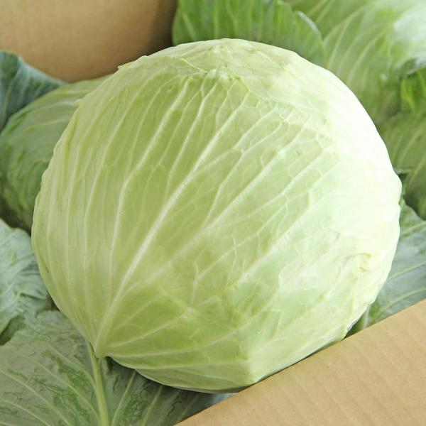 安心・安全の国産大根を新鮮な状態でお届けします♪