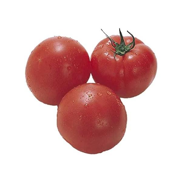 安心・安全の国産トマトを新鮮な状態でお届けします♪