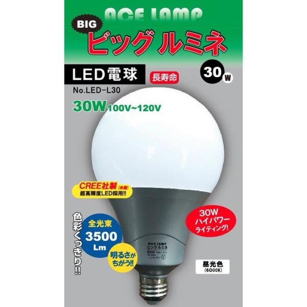 富士倉 大型 高輝度 LED電球 5100lm 30W 昼白色 1個 andhouse_in5679-msm