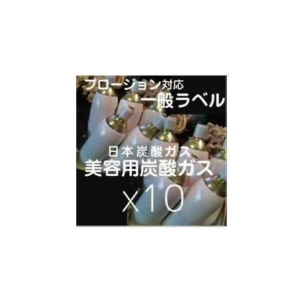 プロージョン対応 炭酸ガスカートリッジ 10本組(パッキン付き) : and