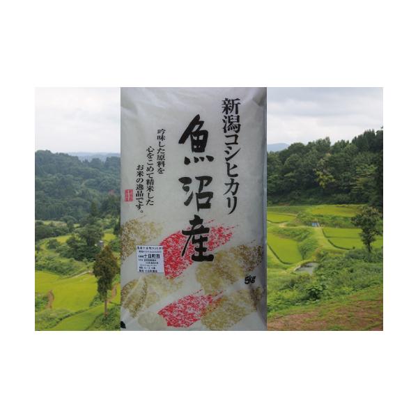 コシヒカリ 魚沼産コシヒカリ 5kg 新潟県 2023年産 : 安藤米