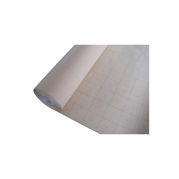 �S�[���h�J�b�g�^�����i1250�~�����j100M�� ���i�摜