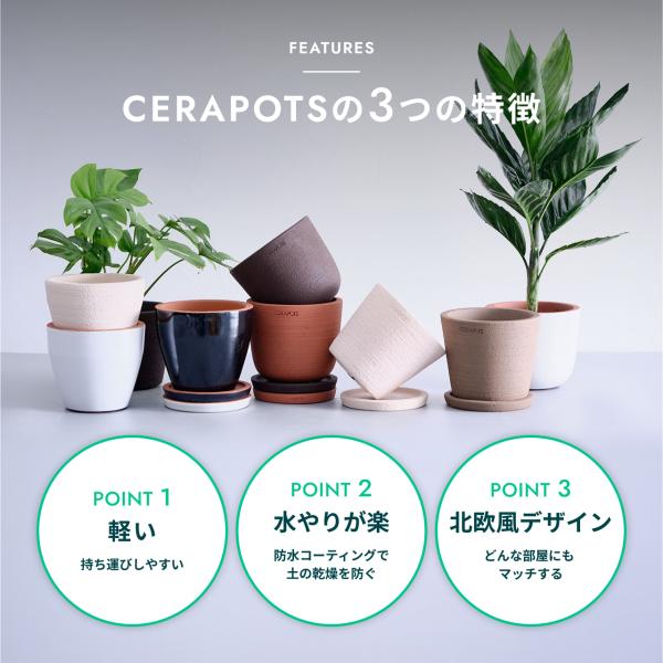 �A�ؔ� �� ���픫 5�� CERAPOTS �f�Ă� ���M�t�� ������� �v�����^�[ �C���e���A �k�� ���M�t�� �A�� �ϗt�A�� ���i�摜2