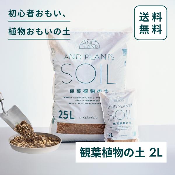 アンドプランツからオリジナルの観葉土がついに商品化されました。幾度もの試作を重ねて完成したのは、観葉植物にも育成者にも優しく使いやすい観葉土です。 ・植物の生育に適した乾きやすさと、育てやすい保湿性の両立・株が安定しやすく植え替えの傷みが少...