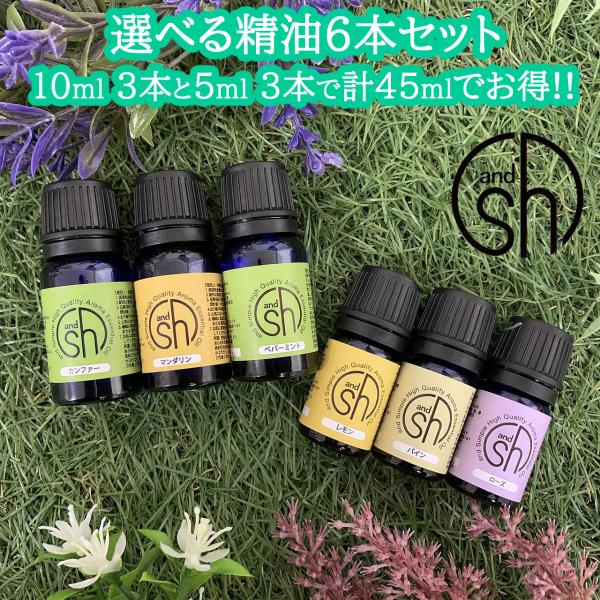 &SH アロマ スターター セット 3 エッセンシャルオイル 10ml×3本 5ml×3