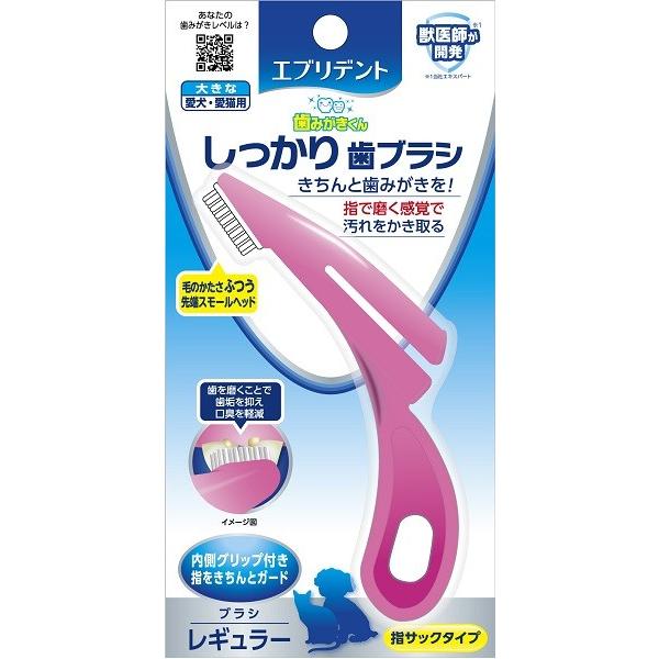 A[X@Gufg@莕uV@M[@傫ȈELp