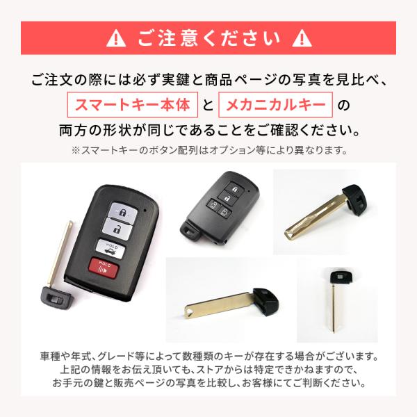 anemone-e-shop_gkeycut204_1_d_20240620192807