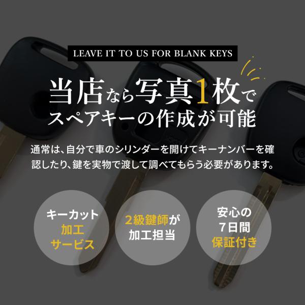 anemone-e-shop_gkeycutpic_2_d_20241206181909