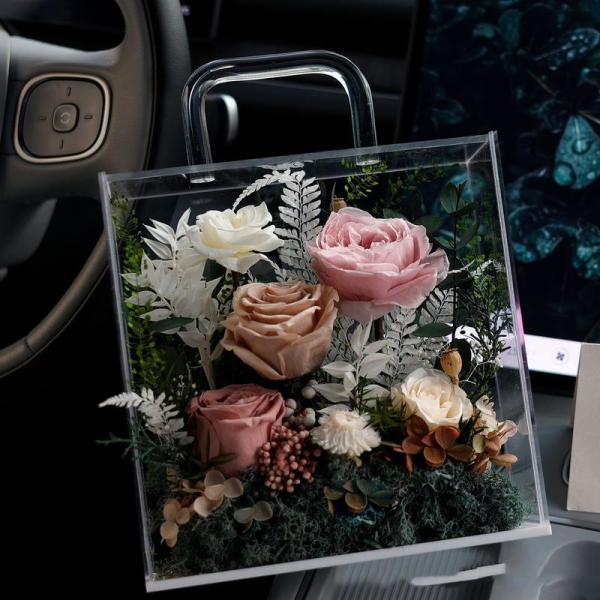anestyle_202604277lqou87r