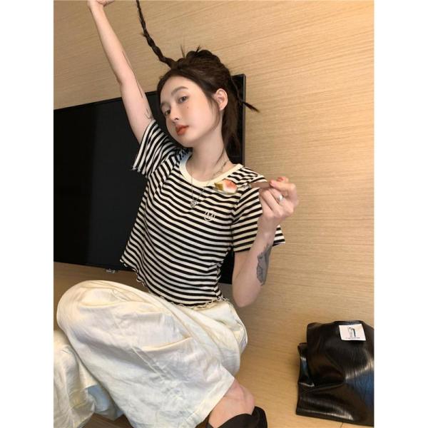 ボーダー Tシャツ レディース 半袖 ショート丈 クロップド トップス 韓国 ファッション タイト スリム クルーネック リブ カットソー