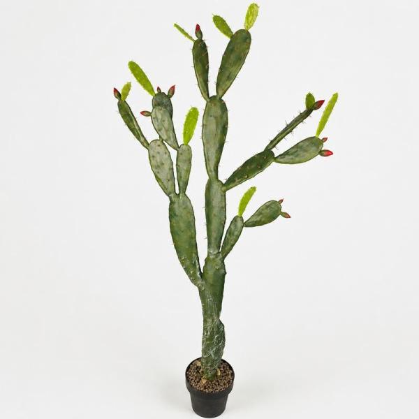 大型 古株　ウチワサボテン 鉢植え 観葉植物 人工観葉植物 サボテン 大型 ウチワサボテン 鉢植え 155cm フェイク