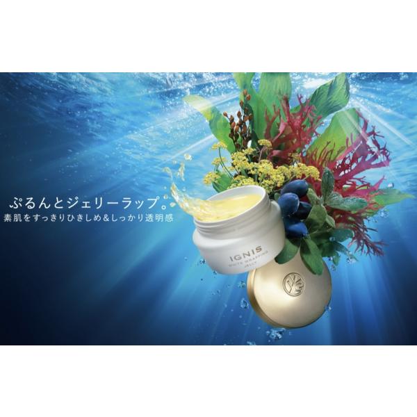イグニス（IGNIS） 国内正規品 ホワイト ラッピング ジェリー 80g 薬用