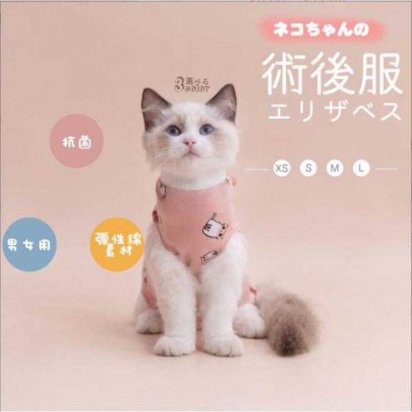 猫用ペット服 術後服の人気商品 通販 価格比較 価格 Com