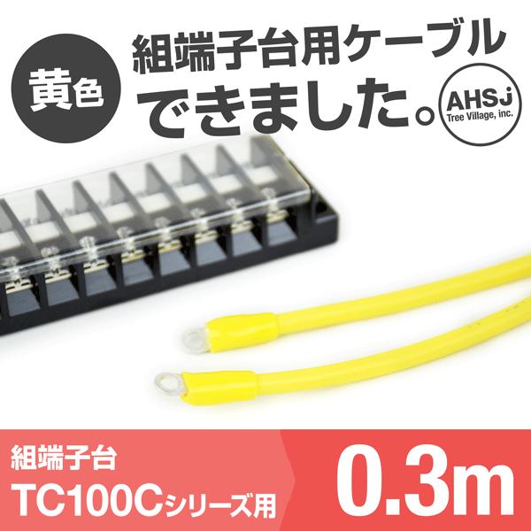 TC100C�p ���F 0.3m �[�q��ڑ��P�[�u�� (KIV 38sq �ی^�����[�q R38-8) TV