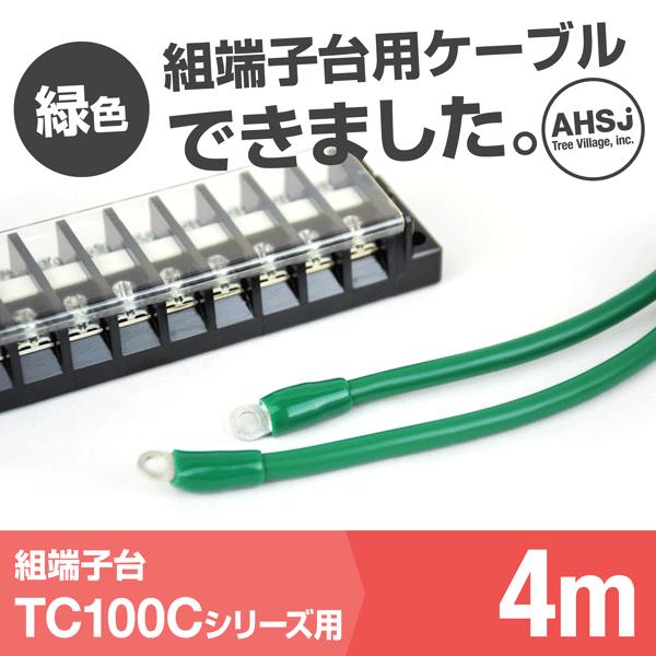 TC100C�p �ΐF 4m �[�q��ڑ��P�[�u�� (KIV 38sq �ی^�����[�q R38-8) TV