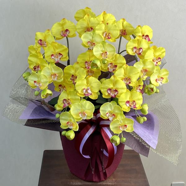 光触媒のコーティングで、除菌・消臭作用もある造花の胡蝶蘭。水やり不要で枯れない造花は、手間がかからない為、開店祝い・開業祝い・開院祝い・移転祝い・新築祝いなど、また、誕生日プレゼントや就任祝いにも人気です。また、温度に関係なく配送ができるの...