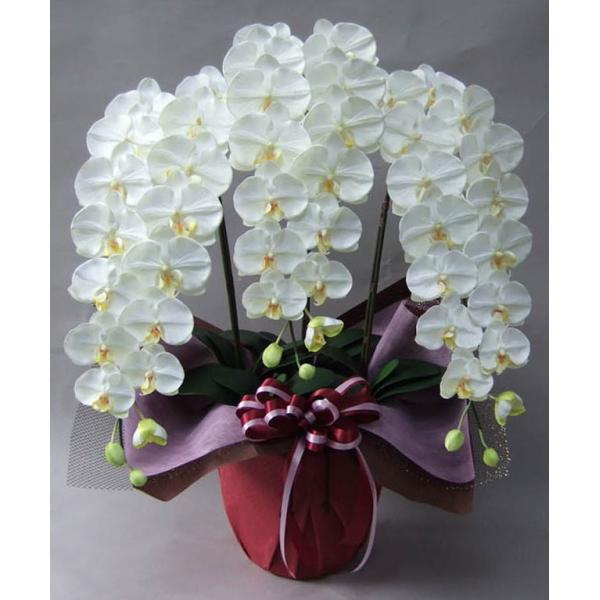 光触媒のコーティングで、除菌・消臭作用もある造花の胡蝶蘭。水やり不要で枯れない造花は、手間がかからない為、開店祝い・開業祝い・開院祝い・移転祝い・新築祝いなど、また、誕生日プレゼントや就任祝いにも人気です。また、温度に関係なく配送ができるの...