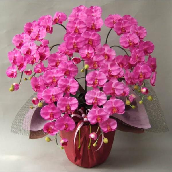 光触媒のコーティングで、除菌・消臭作用もある造花の胡蝶蘭。水やり不要で枯れない造花は、手間がかからない為、開店祝い・開業祝い・開院祝い・移転祝い・新築祝いなど、また、誕生日プレゼントや就任祝いにも人気です。また、温度に関係なく配送ができるの...