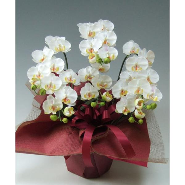 光触媒のコーティングで、除菌・消臭作用もある造花の胡蝶蘭。水やり不要で枯れない造花は、手間がかからない為、開店祝い・開業祝い・開院祝い・移転祝い・新築祝いなど、また、誕生日プレゼントや就任祝いにも人気です。また、温度に関係なく配送ができるの...