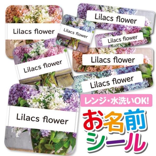 OV[ OV[ Ȃ܂V[ h l[V[ Iׂ ۈ牀 ct wZ  w ^O mAC ԕ t[