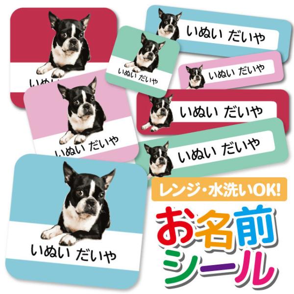 OV[ Ȃ܂V[ h l[V[ ^O ۈ牀 ct wZ  w 킢 Aj}   ~j`A_bNXth