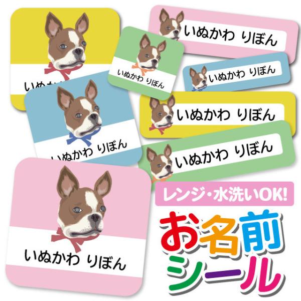 OV[ Ȃ܂V[ h l[V[ ^O ۈ牀 ct wZ  w 킢   t`uhbO 