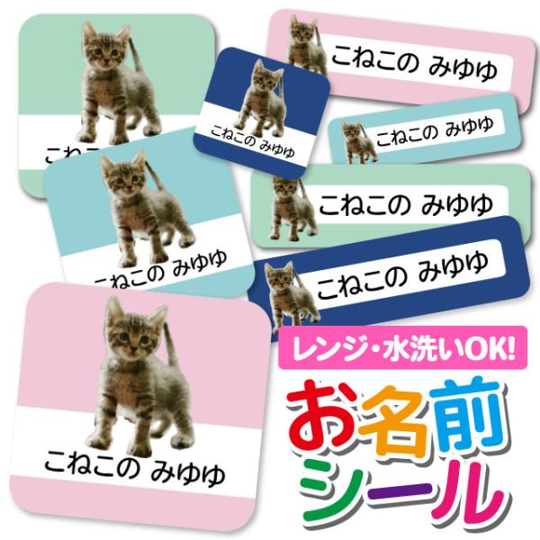 OV[ OV[ Ȃ܂V[ h l[V[ Iׂ ۈ牀 ct wZ  w ^O mAC 킢 ˂ Aj} 