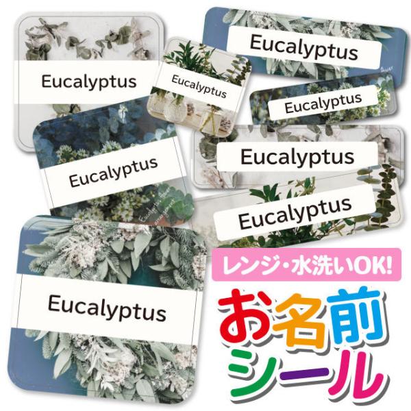 OV[ Ȃ܂V[ h l[V[ ^O ۈ牀 ct wZ  w  킢 {^jJ [t i`