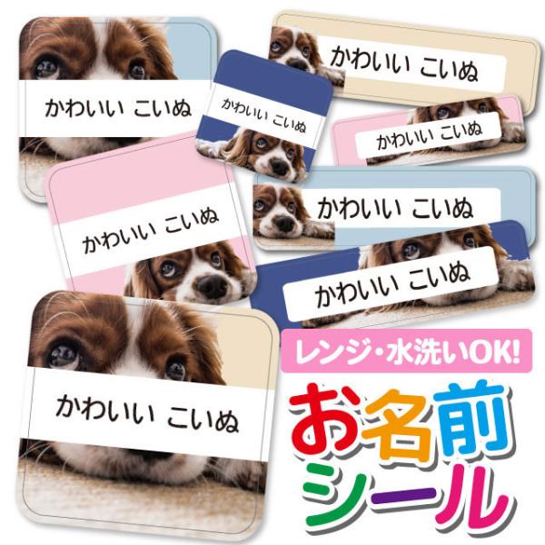 OV[ Ȃ܂V[ OV[ h ϐ l[V[ H@ W ۈ牀 ct wZ  w    Aj} 