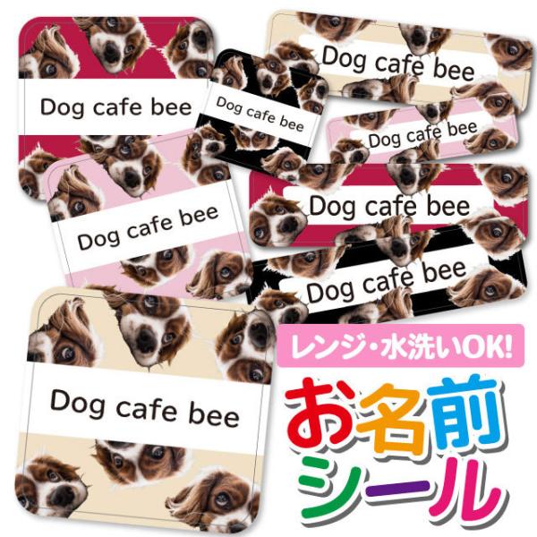 OV[ Ȃ܂V[ OV[ h ϐ l[V[ H@ W ۈ牀 ct wZ  w    Aj} 