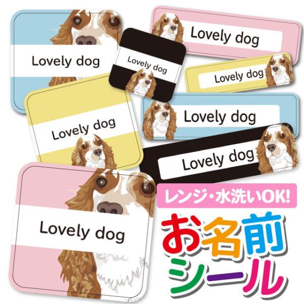 OV[ Ȃ܂V[ OV[ h ϐ l[V[ H@ W ۈ牀 ct wZ  w    Aj} 