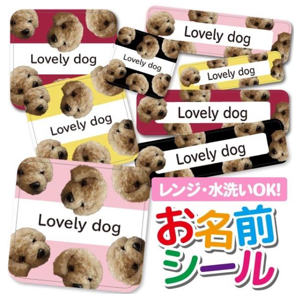 OV[ Ȃ܂V[ OV[ h ϐ l[V[ H@ W ۈ牀 ct wZ  w  Aj}  