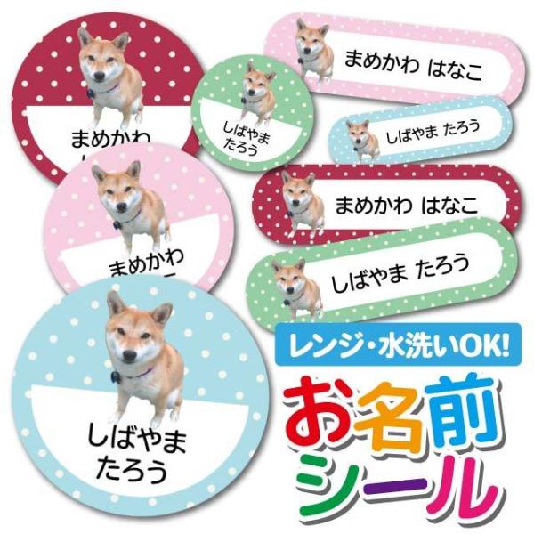 OV[ Ȃ܂V[ OV[ h ϐ l[V[ H@ W ۈ牀 ct wZ  w  Aj} ǂԂ Č  킢