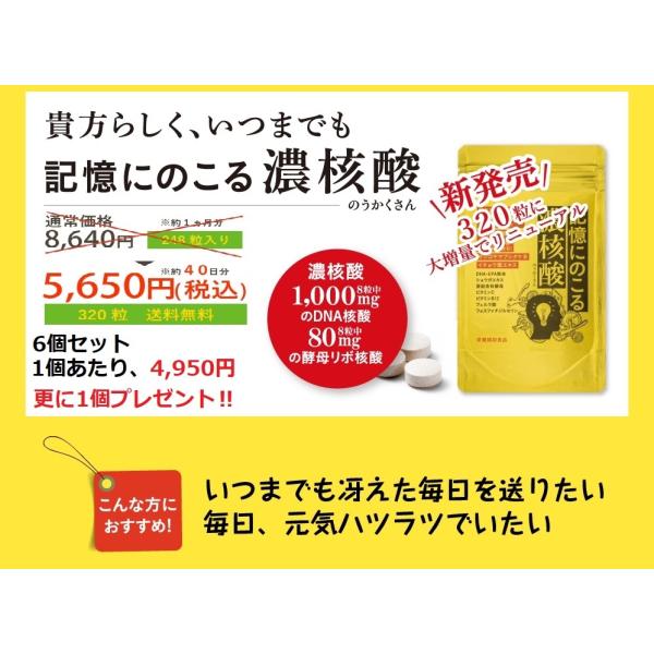 記憶にのこる濃核酸 (のうかくさん）お得な6個セット+1個プレゼント送料無料!! DNA/RNA/ヤマブシタケ/DHA/EPA/イチョウ葉/しっかり増量320粒入り(約40日分）
