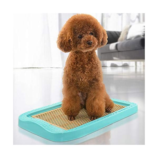驚きの値段 犬のトイレ大型トイレ小さな犬のトイレのペット用品 サイズの色は簡単にクリーニングするオプション
