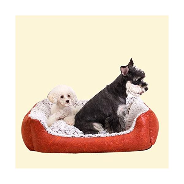 冬の暖かい猫と犬のベッド リムーバブルと洗えるペットネスト テディ 売店 ゴールデンヘア ペットネスト クマ ペット用品