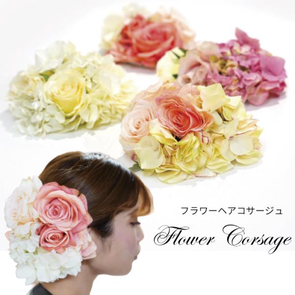 EFfBO RT[W    JCC 傫 RT[W Ԑ t[ wA RT[W Be ߑ wAANZT[  HA0335