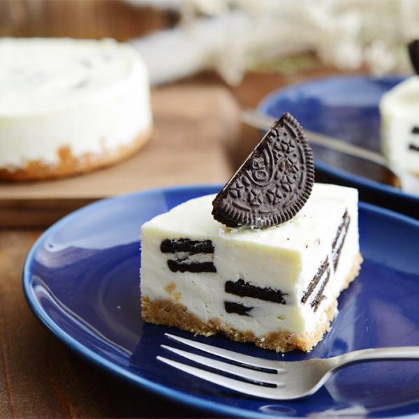 II̐N[`[YP[L12cmz[^cafe The SUN LIVES HEREyz